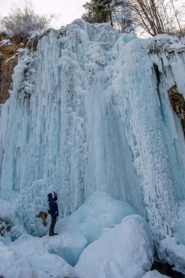 Deea Cascada Villa Vidra  Eksteriør bilde