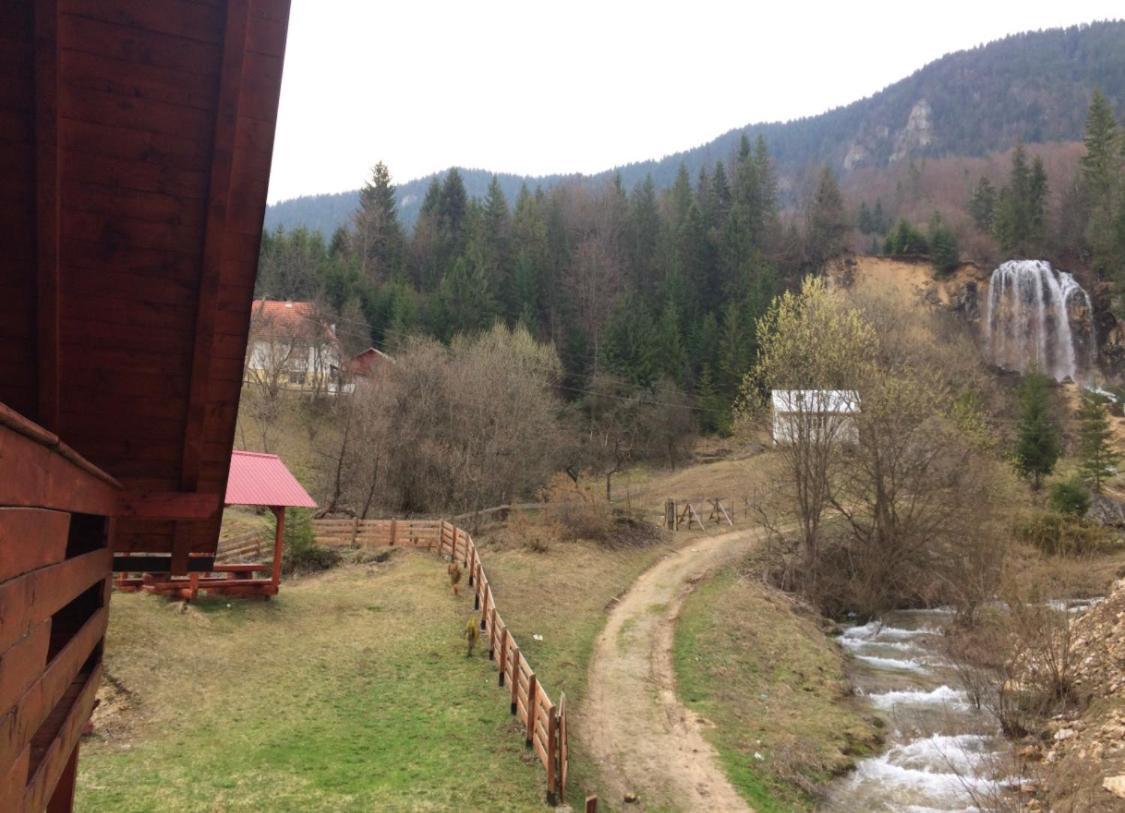 Deea Cascada Villa Vidra  Eksteriør bilde