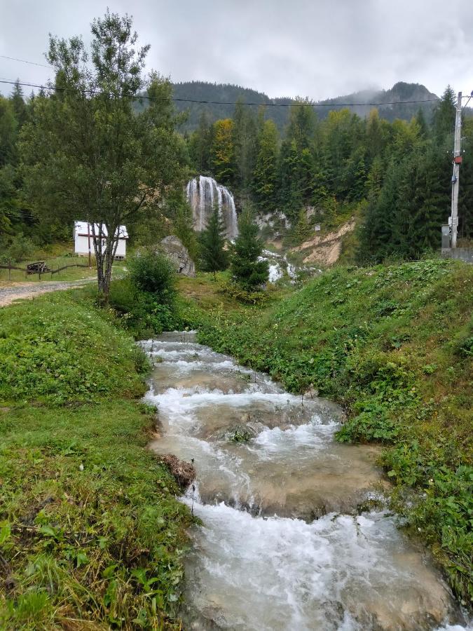 Deea Cascada Villa Vidra  Eksteriør bilde