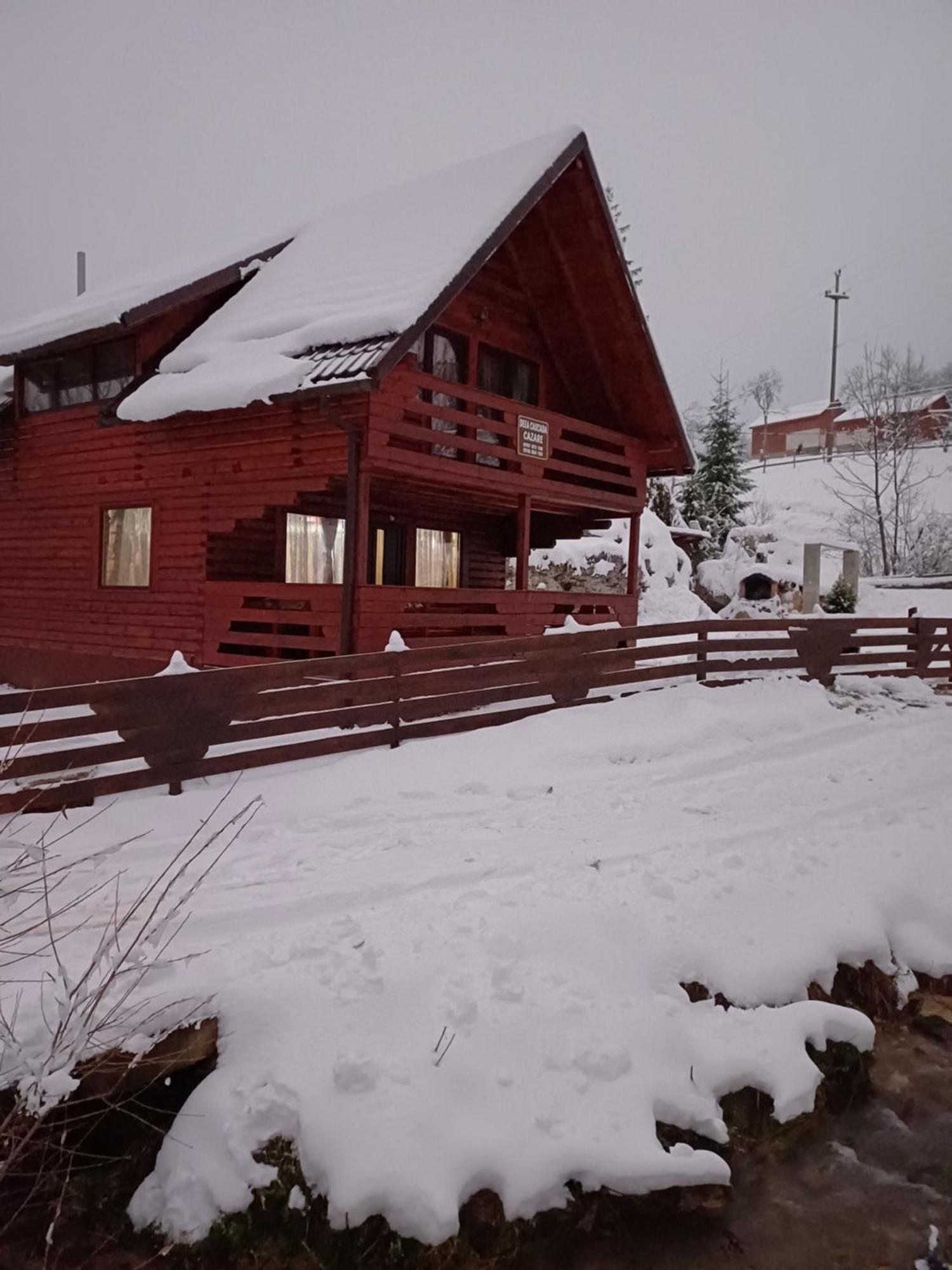 Deea Cascada Villa Vidra  Eksteriør bilde